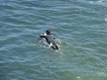 Surfing is popular along Santa Cruz coast